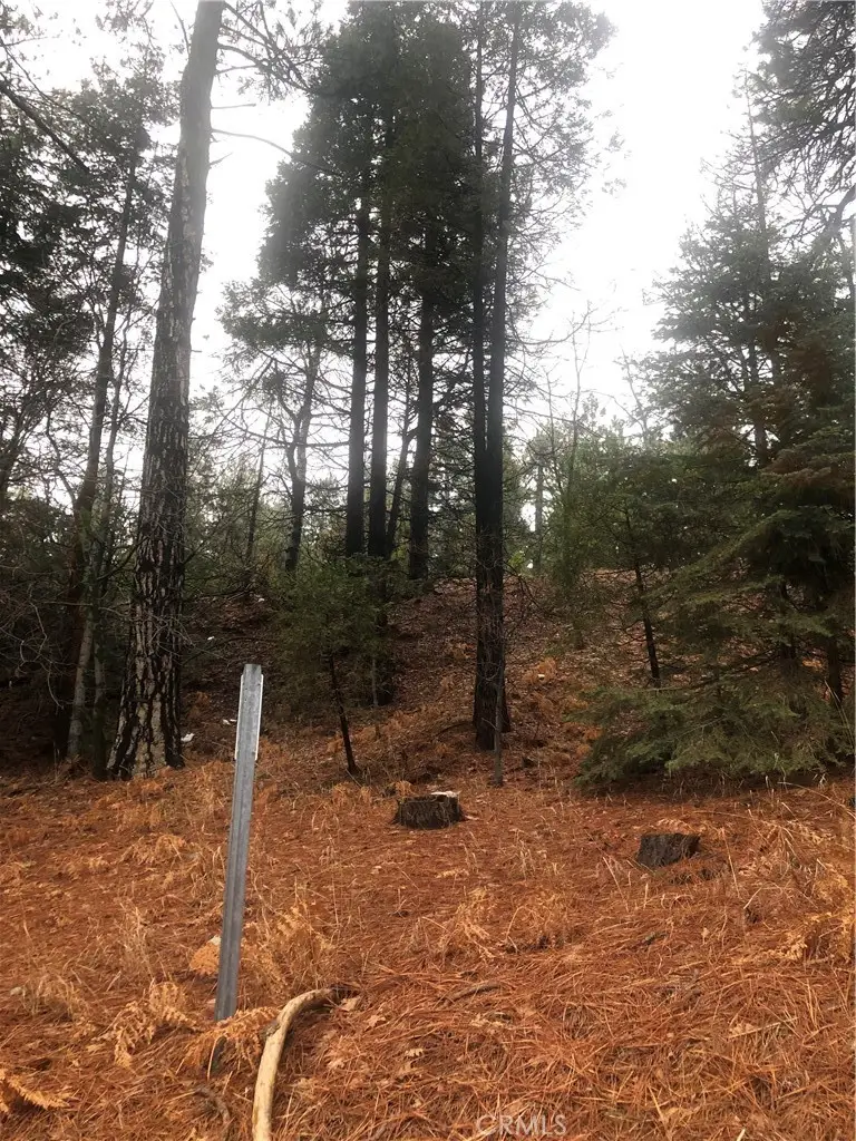 0 Loma, Running Springs, CA 92382 - #3