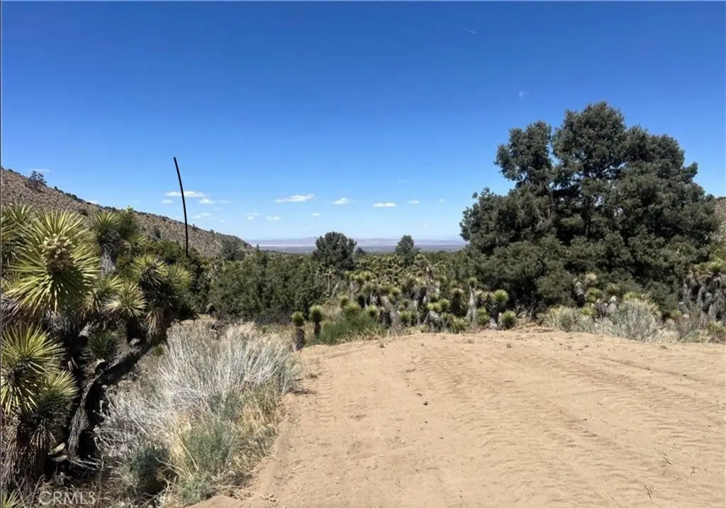 0 Evergreen Rd, Pinon Hills, CA 92372 - Image #1
