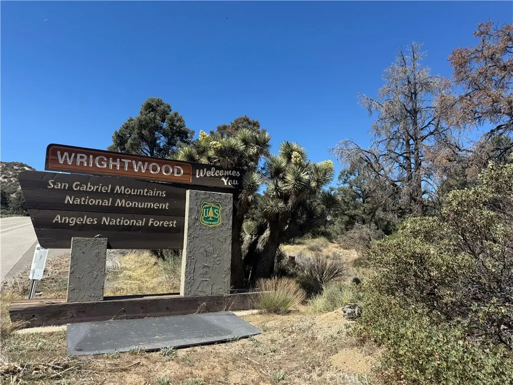 28106 Desert Front Rd, Pinon Hills, CA 92372 - #1