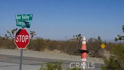 0 Bear Valley Road, Pinon Hills, CA 92372 - #1