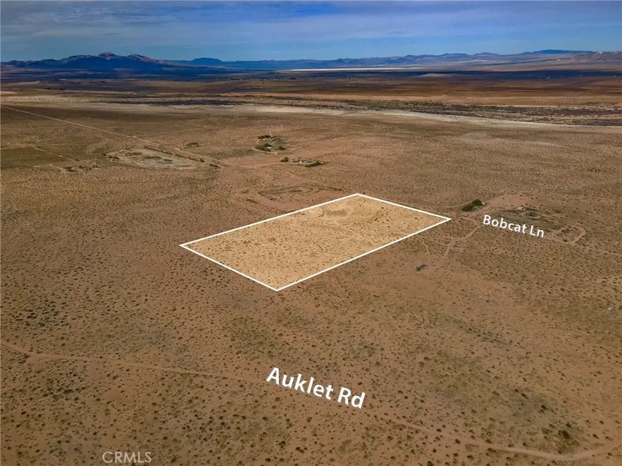 123 Bobcat Lane, Newberry Springs, CA 92365 - #2