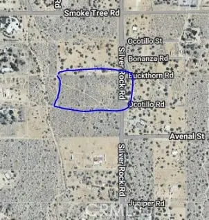 0 Silver Rock, Pinon Hills, CA 92372 - #3