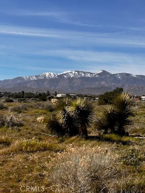 0 Phelan, Phelan, CA 92371 - #2