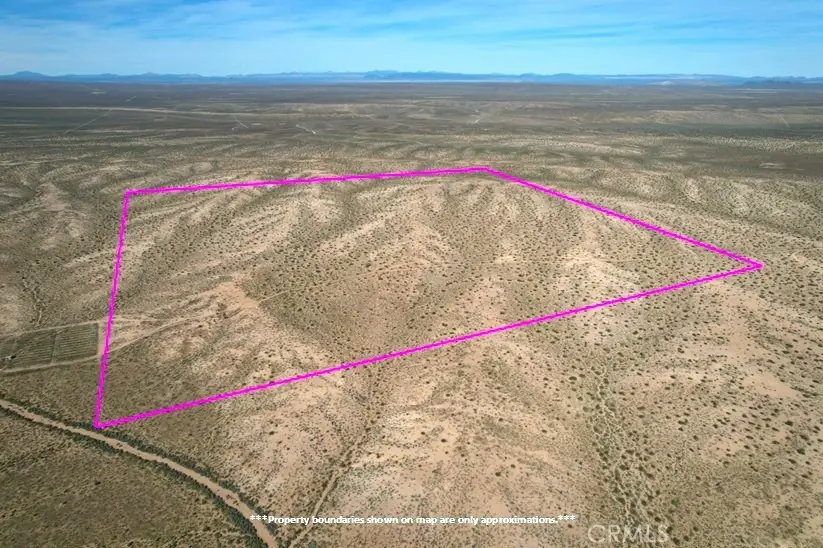 160 AC Near Buckthorn Canyon Road, Helendale, CA 92342 - #2