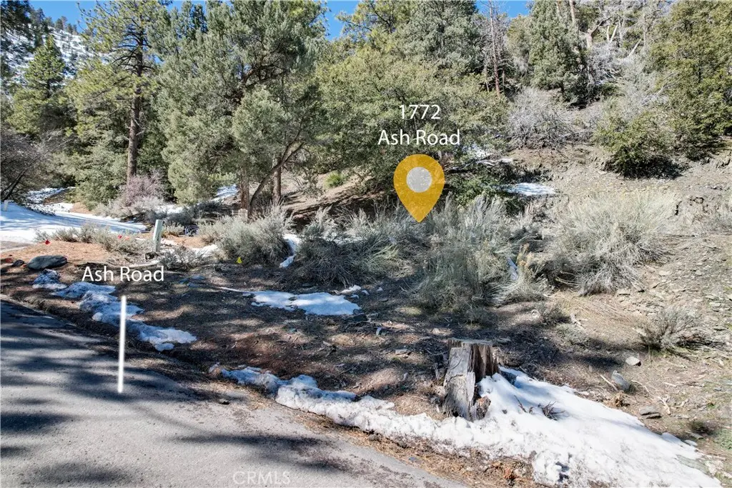 1772 Ash, Wrightwood, CA 92397 - #1