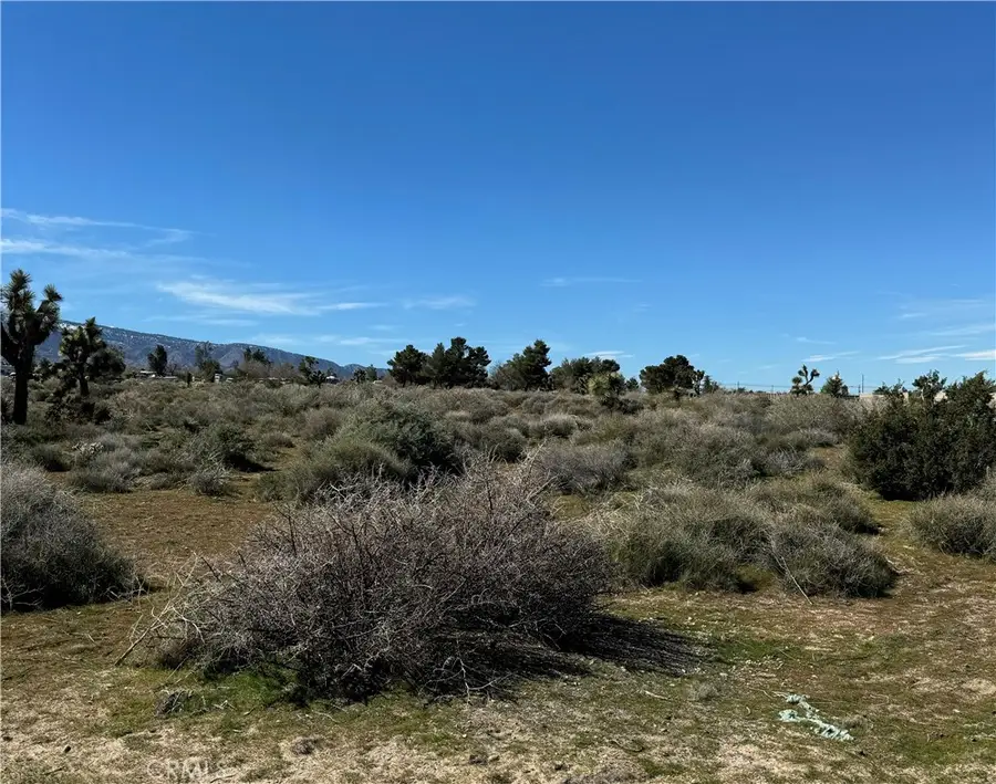 0 Monte Vista Road, Phelan, CA 92371 - #3