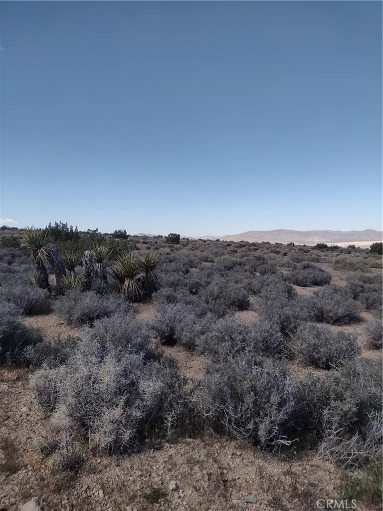 20 Mesa, Lucerne Valley, CA 92356 - #3