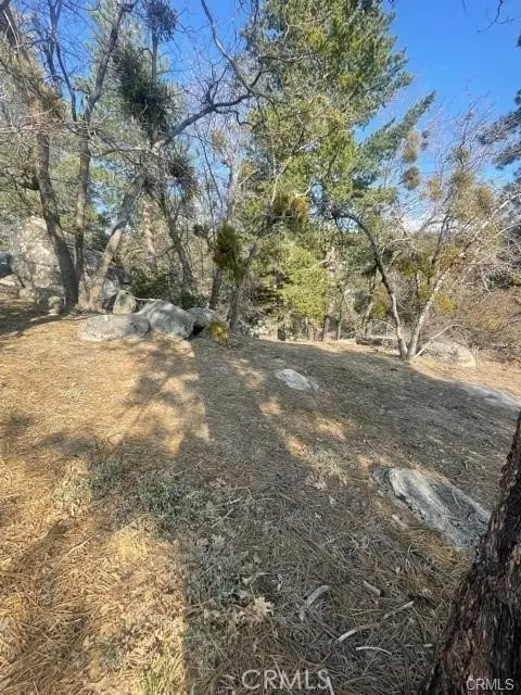 0 Forrest Dr, Running Springs, CA 92382