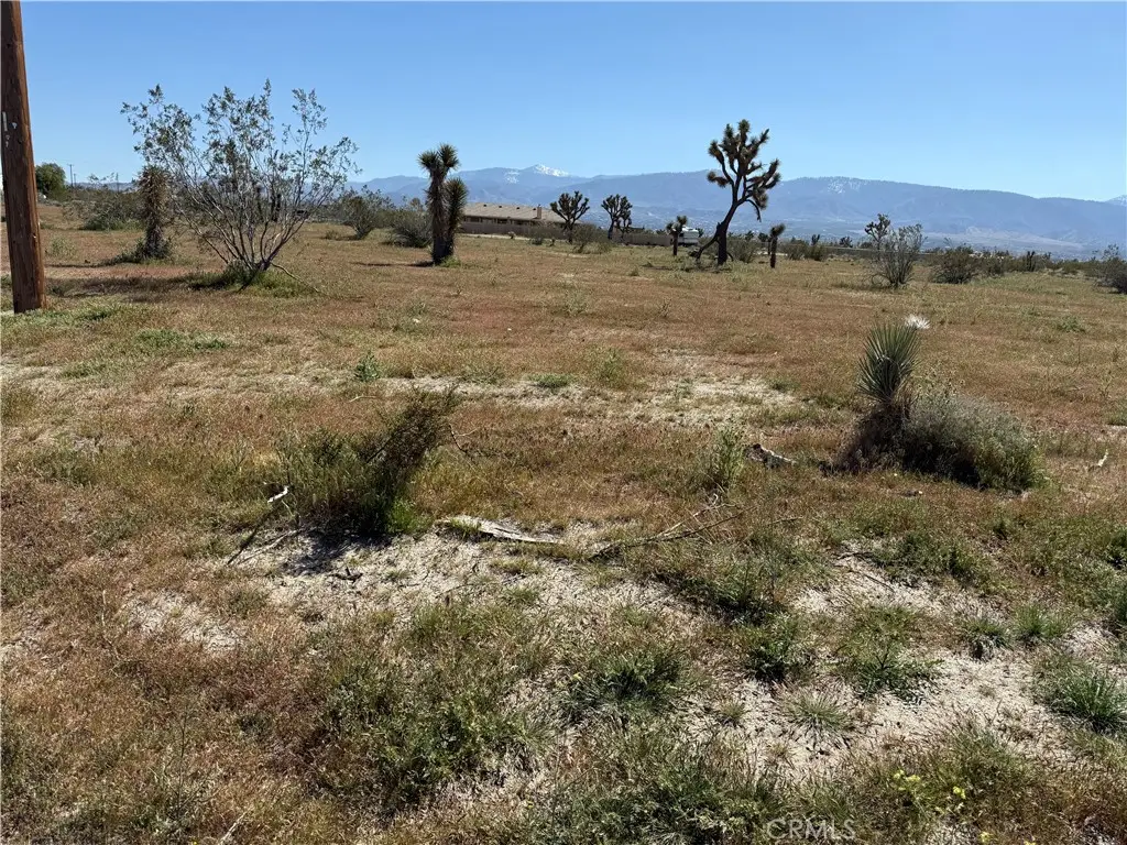 0 La Mesa, Pinon Hills, CA 92372 - #1