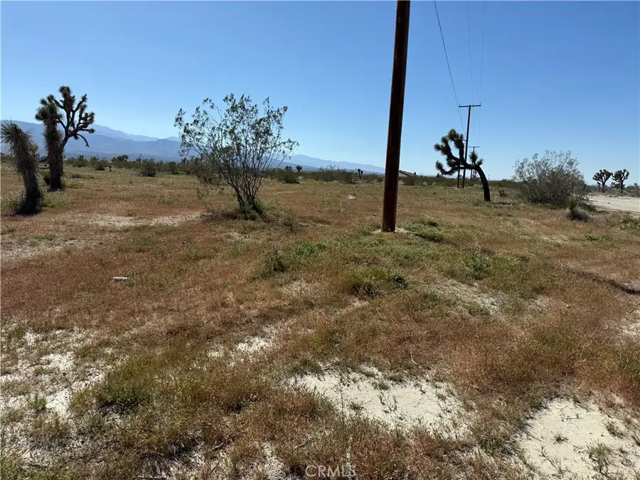 0 La Mesa, Pinon Hills, CA 92372 - #2