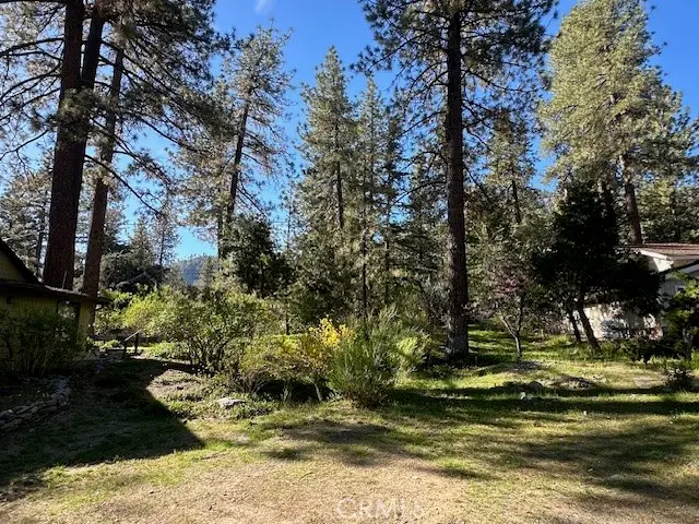 1725 Twin Lakes, Wrightwood, CA 92397 - #1