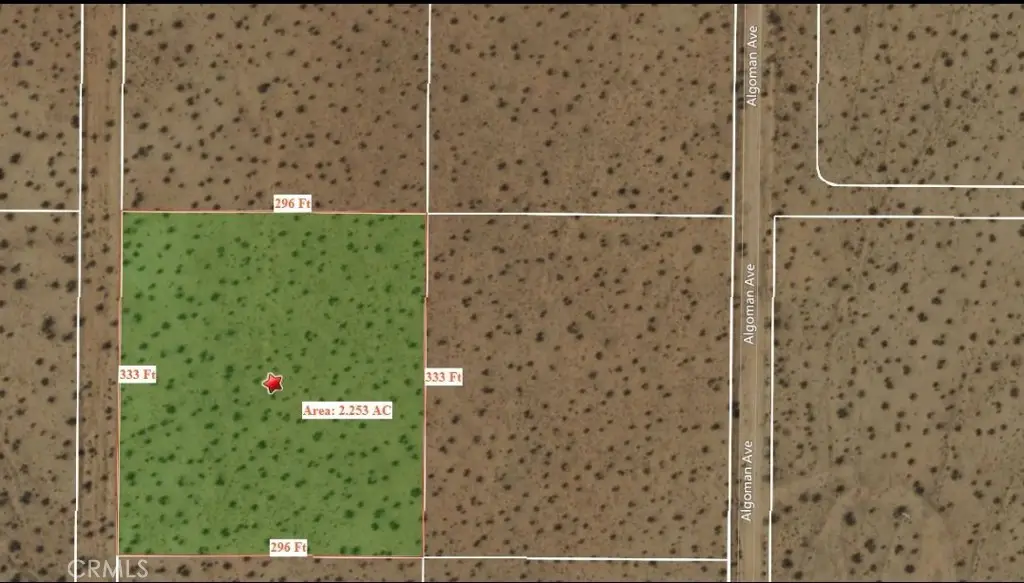 0 Near Algoman, Lucerne Valley, CA 92356 - #1
