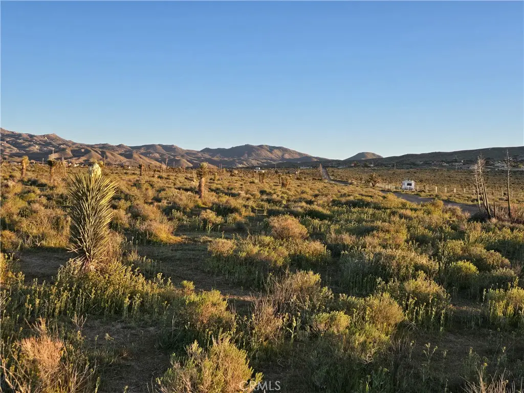 54 Japatul Road, Apple Valley, CA 92308 - #1