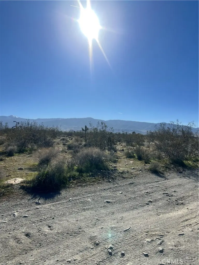 2025 Dos Palmas, Phelan, CA 92371 - #2