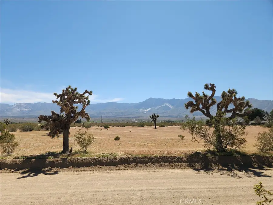 30600 Morningside Street, Lucerne Valley, CA 92356 - #2