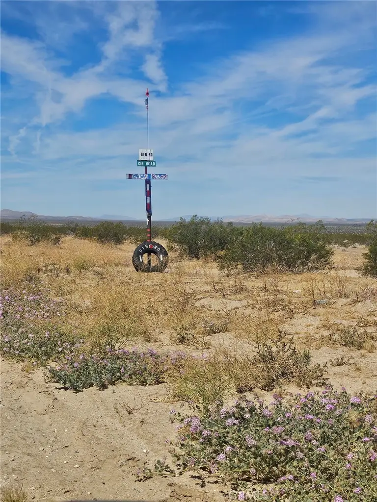 0 Covelo Road, Johnson Valley, CA 92285 - #3