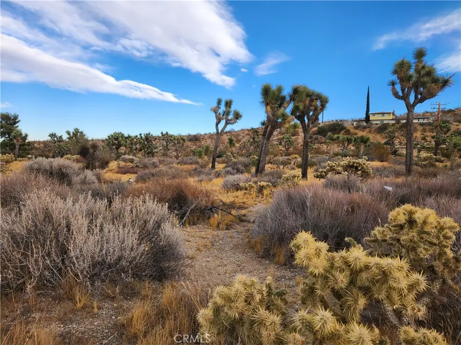 164 LOT Joshua Lane, Yucca Valley, CA 92284 - #2