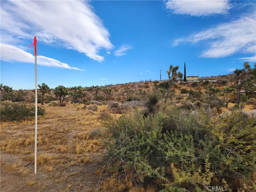 164 LOT Joshua Lane, Yucca Valley, CA 92284 - #3