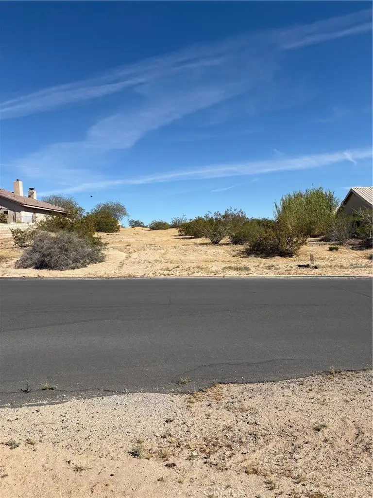 26660 Lakeview, Helendale, CA 92342 - #2