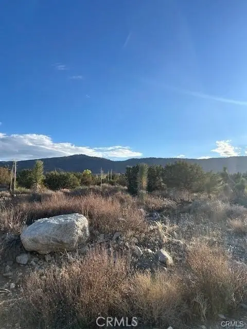 0 Yucca, Pinon Hills, CA 92372 - #3