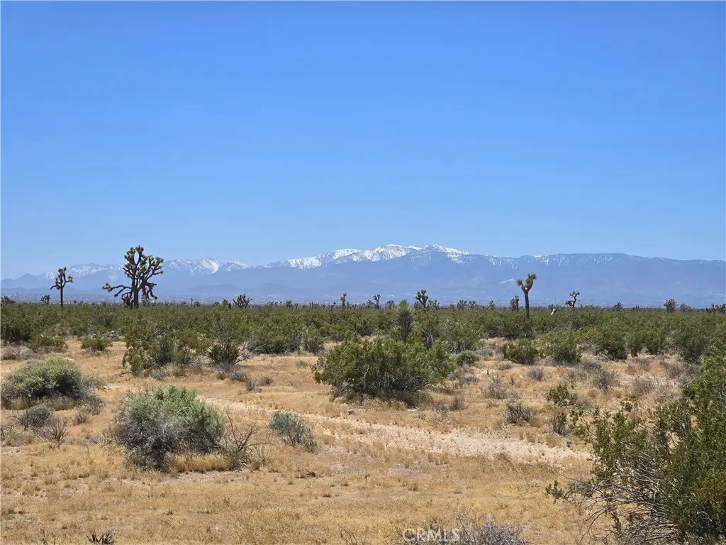 Acres Beaver Avenue, Adelanto, CA 92301 - #1