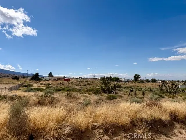 0 Ailanthus, Phelan, CA 92371 - #2