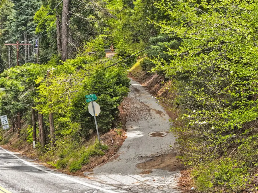 1 Skyforest, Lake Arrowhead, CA 92385 - #2