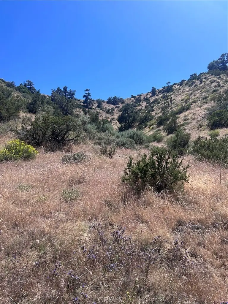 0 Jack Frost, Pinon Hills, CA 92372 - #2