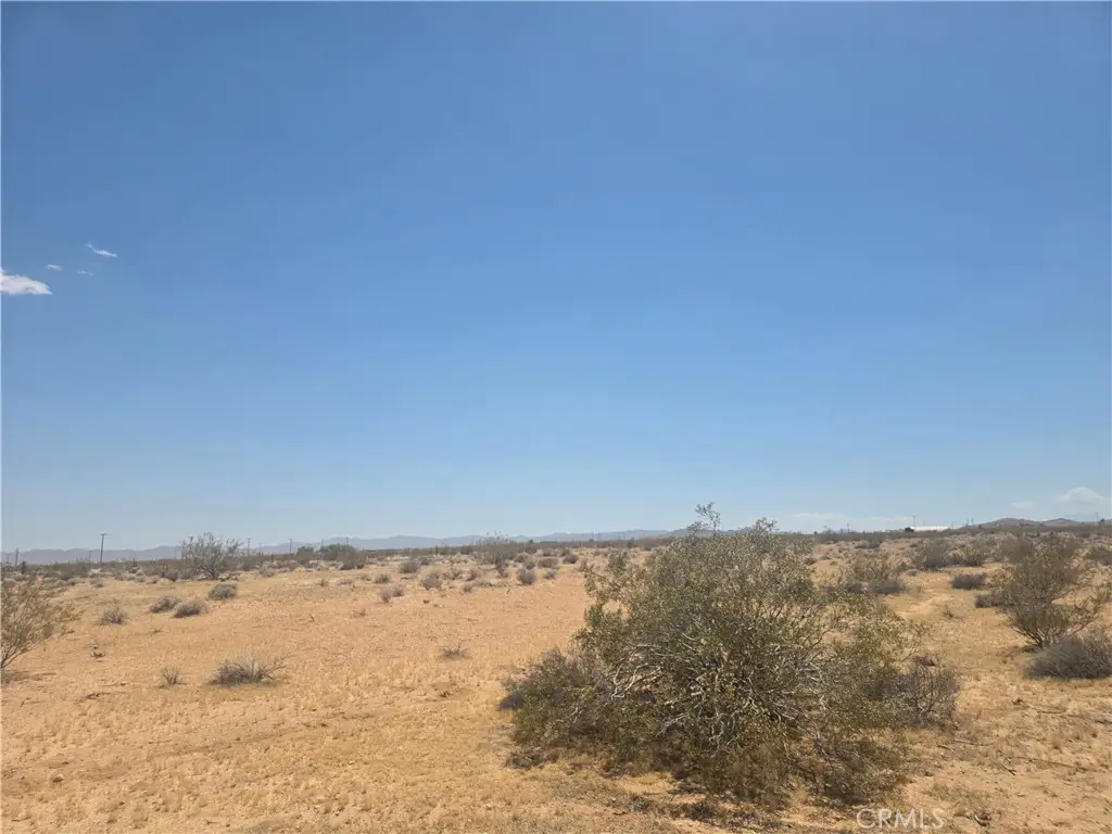 1 Venus, Joshua Tree, CA 92252 - #1