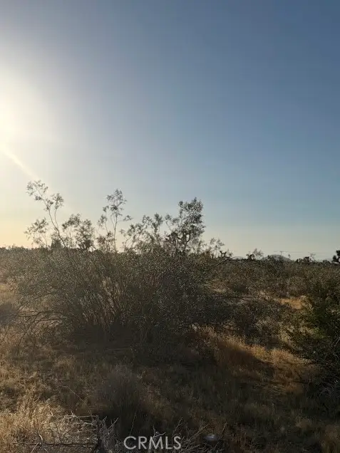 0 Mountain Rd,, Pinon Hills, CA 92372 - #2