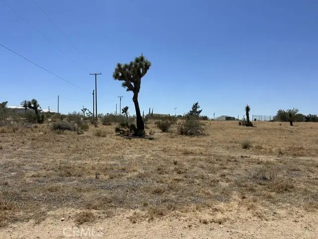 0 Olivine Road, Phelan, CA 92371 - #2