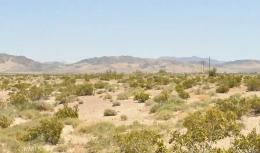 49800 Riverside Road, Newberry Springs, CA 92365 - #3