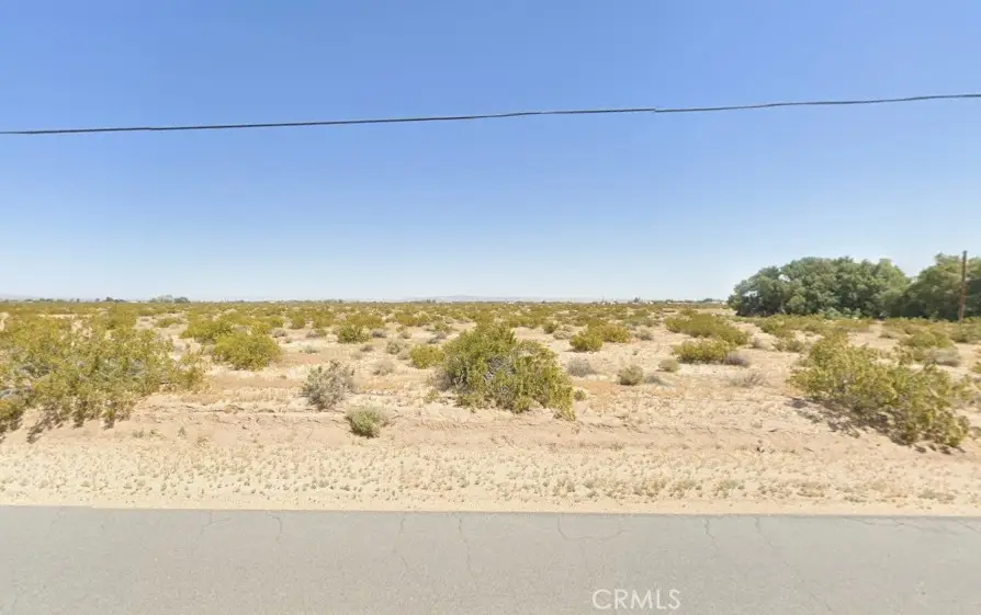 46248 Toy Truck Road, Newberry Springs, CA 92365 - #3