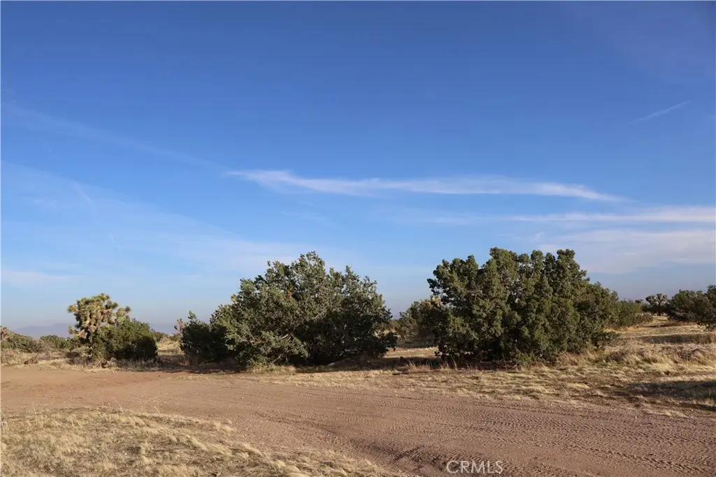 9955 Macron Street, Hesperia, CA 92344 - #1