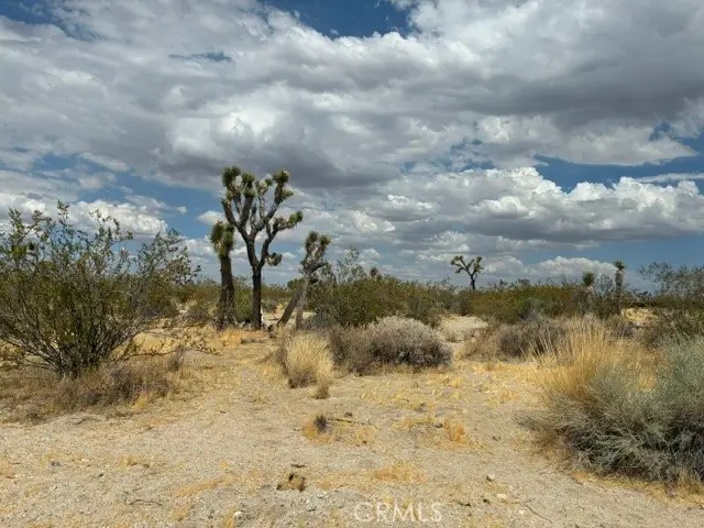 0 Ste/vic, Llano, CA 93591 - #1