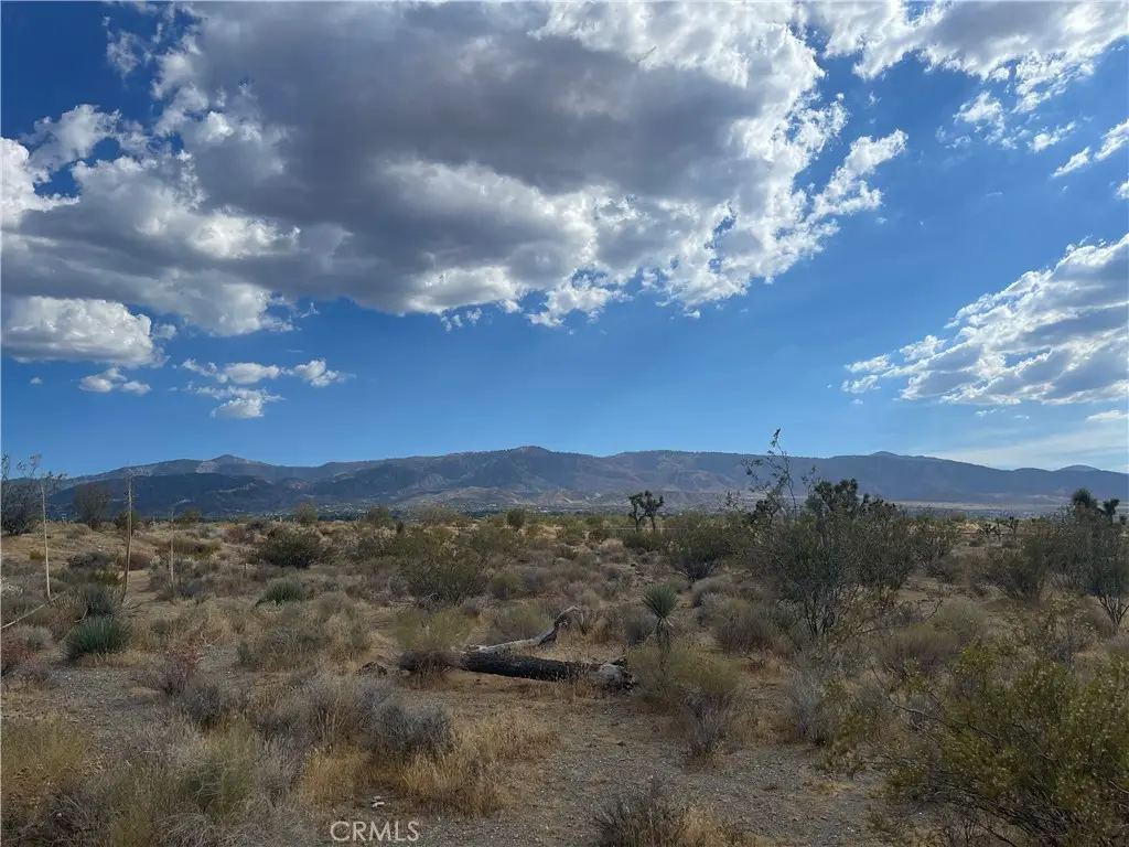 2163 Calaveras, Pinon Hills, CA 92372 - #1