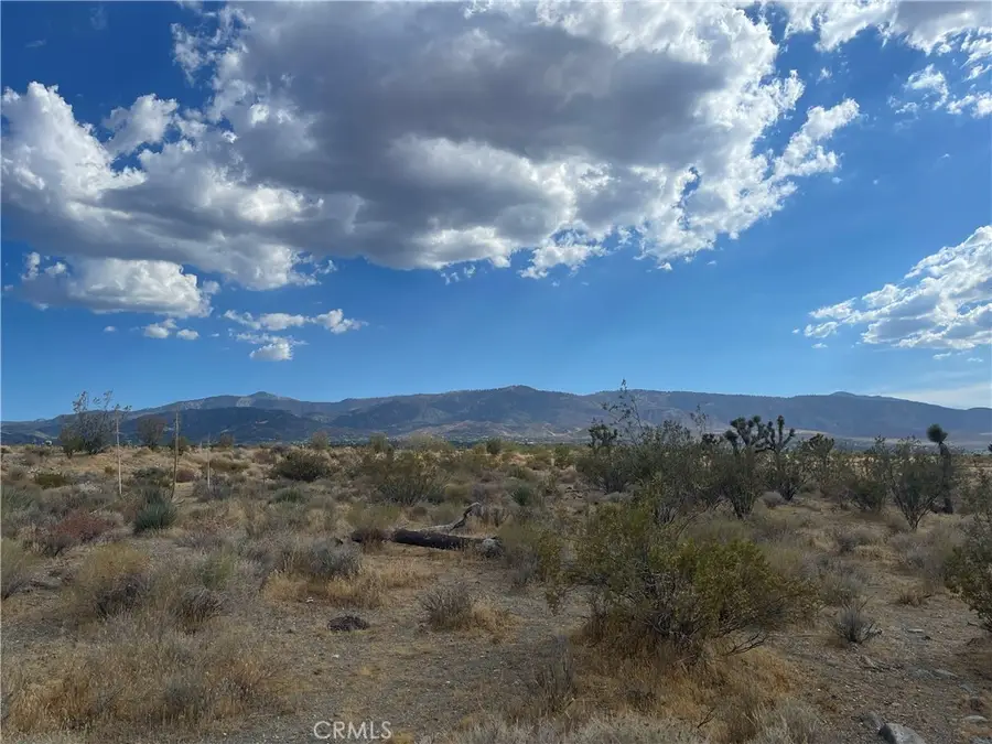 2163 Calaveras, Pinon Hills, CA 92372 - #3