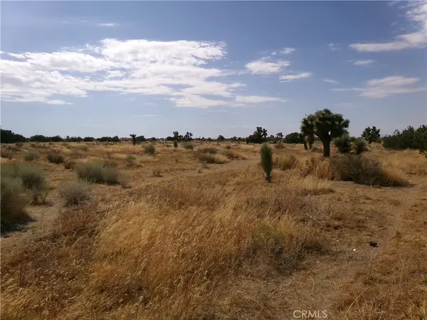 0 Phelan Road, Phelan, CA 92371