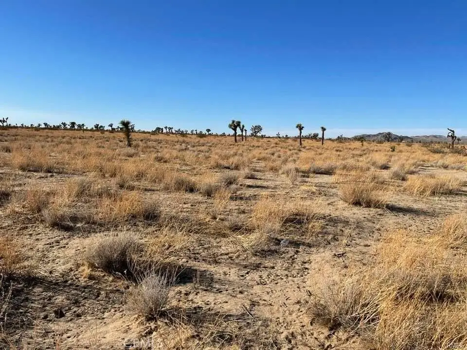 0 Vinton Rd. 3210-321-25, Adelanto, CA 92301 - #1