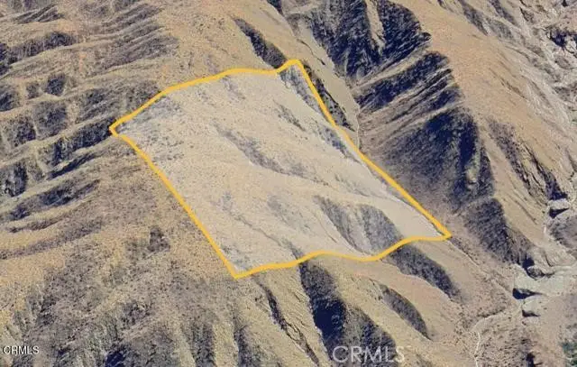 3061012 031 157 Ste/valyermo Road, Pearblossom, CA 93544 - #2