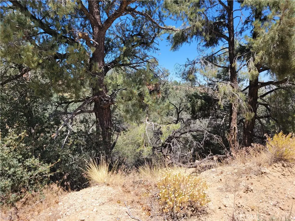 0 Old Oak Springs Valley Road, Wrightwood, CA 92397 - #1