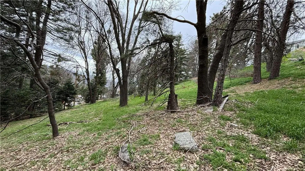 757 Scenic View Drive, Crestline, CA 92325 - #1