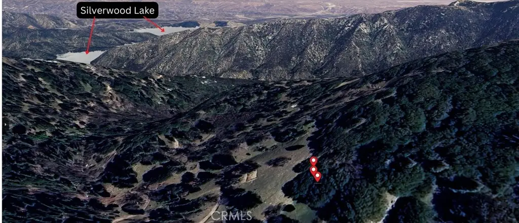 756 Mojave River (near) Road, Cedarpines Park, CA 92322 - #1