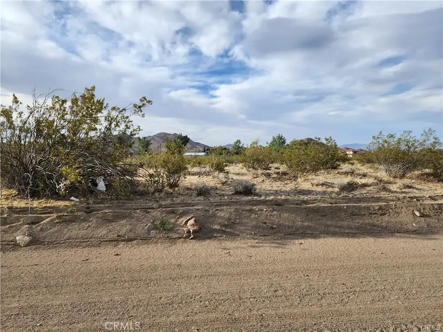 502 Morningside Street, Lucerne Valley, CA 92356 - #2