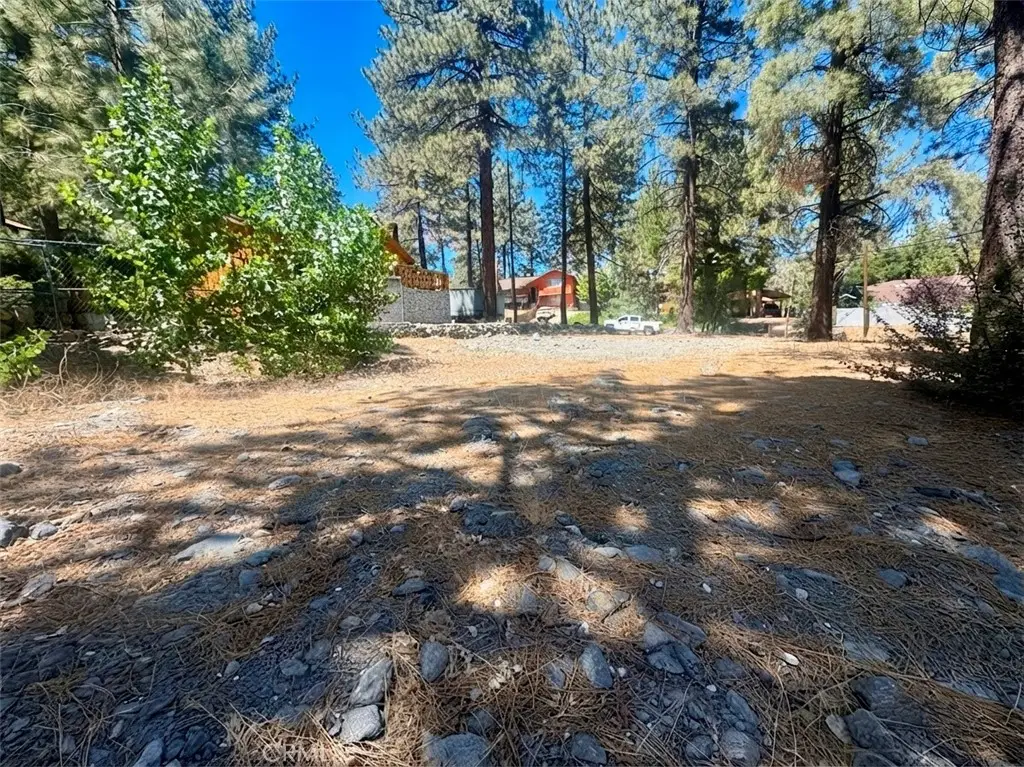 5357 Orchard, Wrightwood, CA 92397 - #1