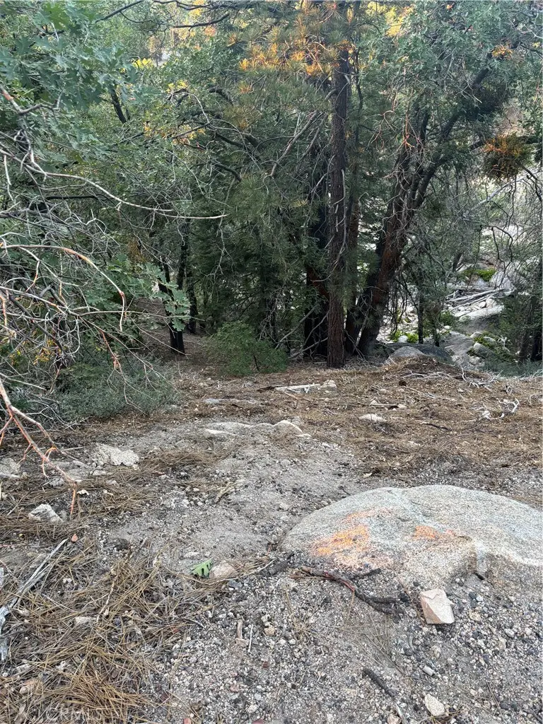 0 Ridge Dr, Running Springs, CA 92382 - #1