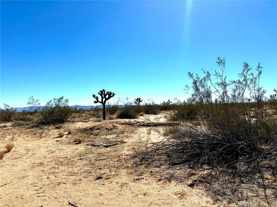 0 Goldfich, Landers, CA 92285 - #3