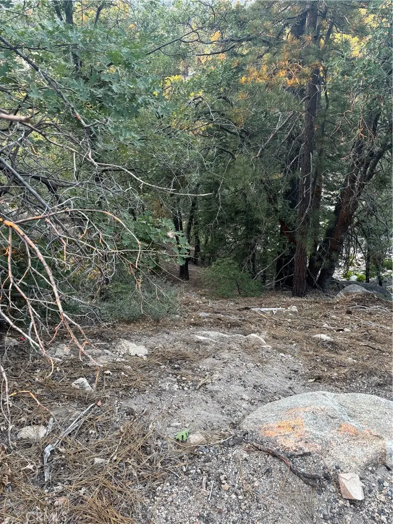 0 Acacia Drive, Crestline, CA 92325 - #2