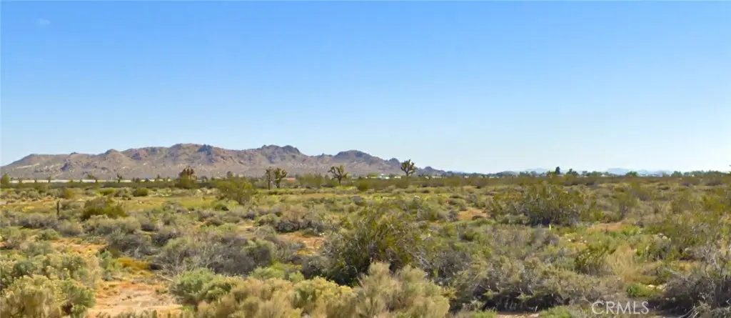0 E Ave R 10, Sun Village, CA 93543 - #1