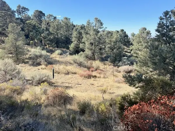 0 Homeridge Drive, Pinon Hills, CA 92372